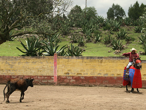 Arranc�ndose de largo