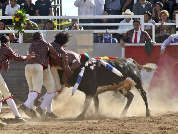 Pega de los aguascalentenses