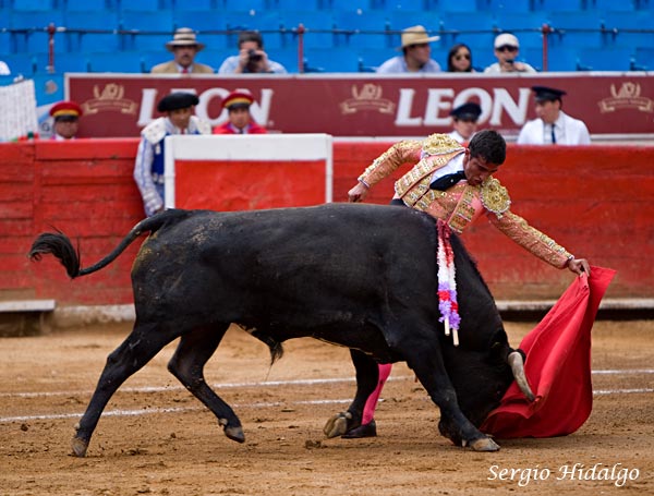 Las orejas con alfileres