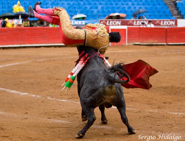 Momento de la cornada