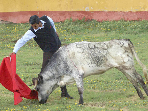 En la mira la Plaza M�xico
