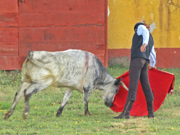Reposo en los muletazos