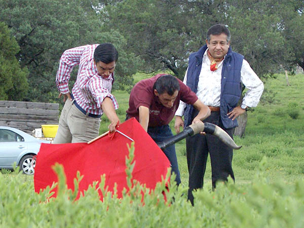 El consejo de Ernesto Belmont