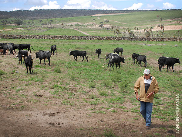 Una visita a los erales