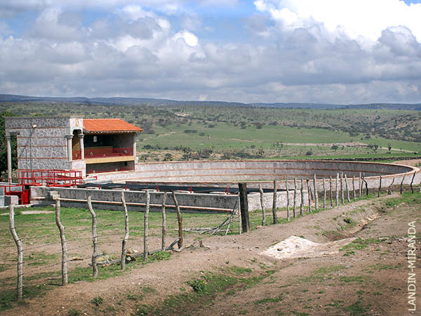 La placita de tientas
