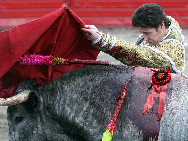 Pas�ndose todo el toro