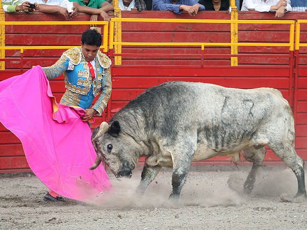 Rafael Ortega con el capote