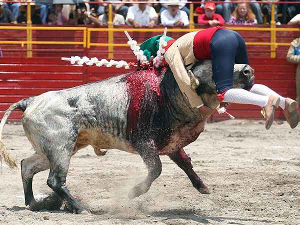 Forcados Hidalguenses