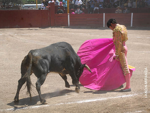 El saludo de Gal�n