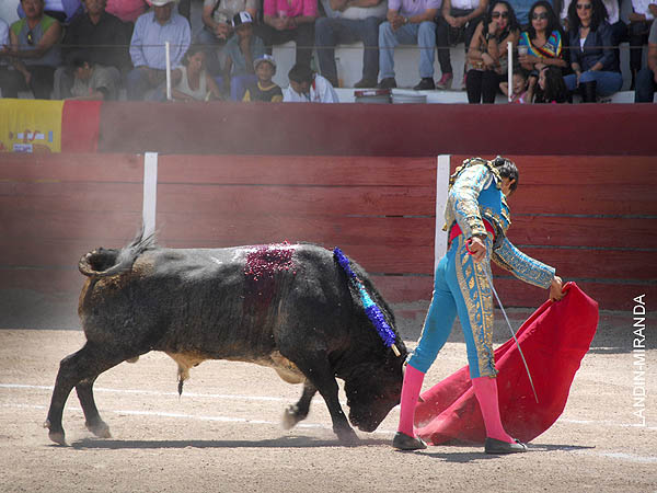 Tirando del ejemplar