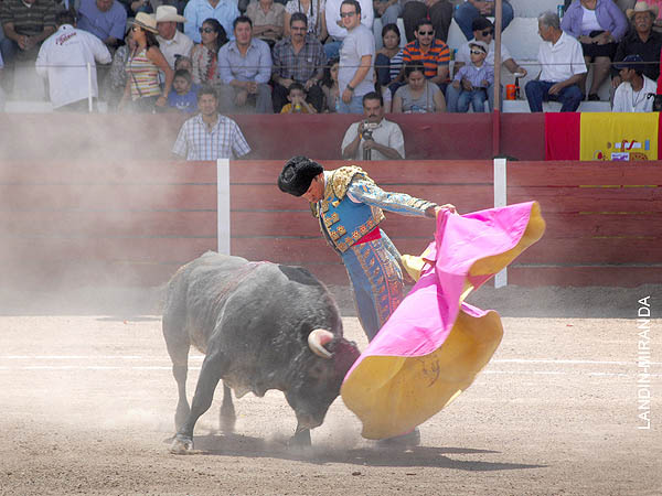 Gaoneras en el quite