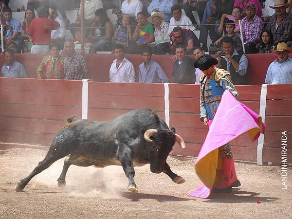 Ver�nicas de Delgadillo