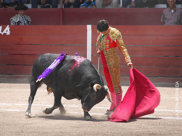 Dejando caer el enga�o