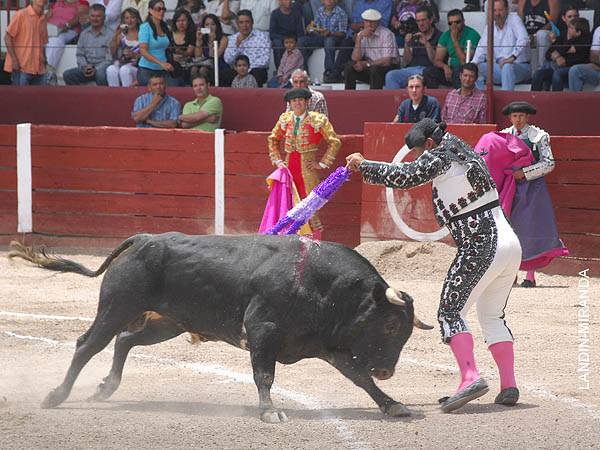 Rojas, de blanco y azabache