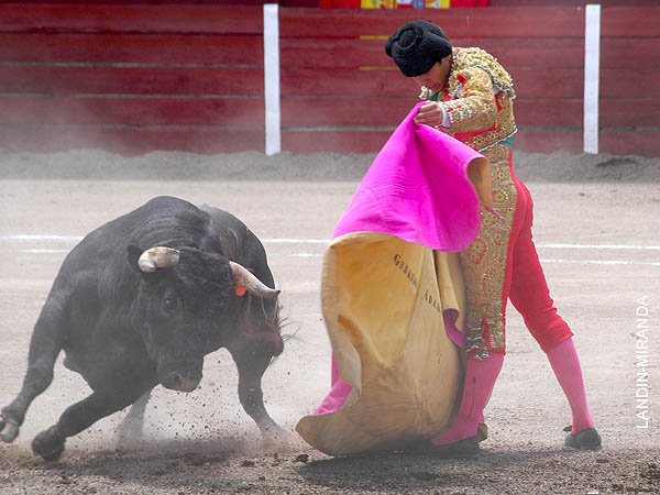 Ver�nicas en el recibo