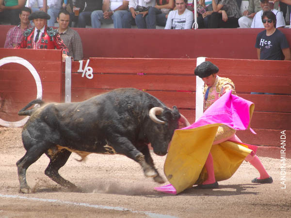 Atemperando la embestida