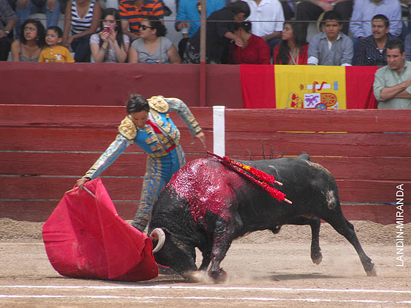 Los belfos en la arena