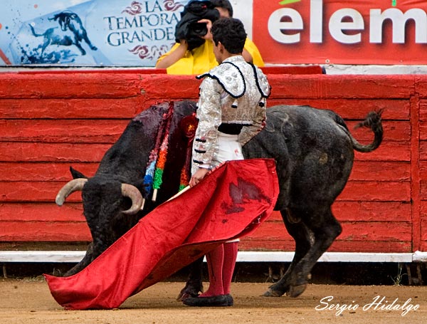 Grandes detalles de Xavier