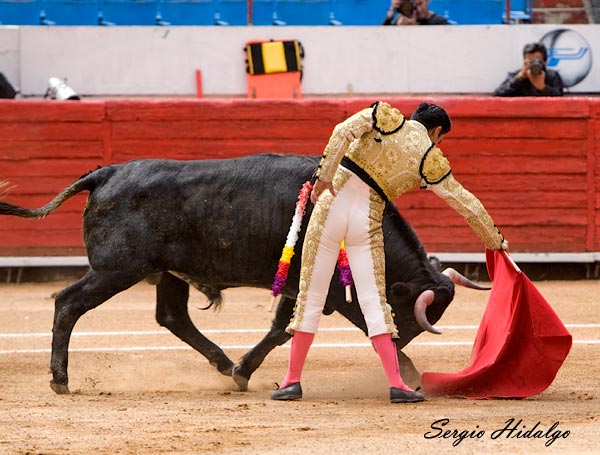 Sometiendo la embestida