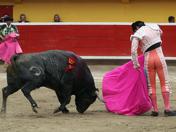 Girando en la navarra
