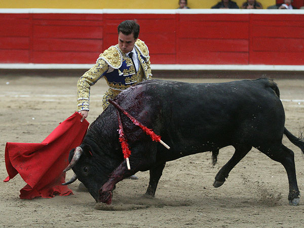 Dobl�ndose  con el toro