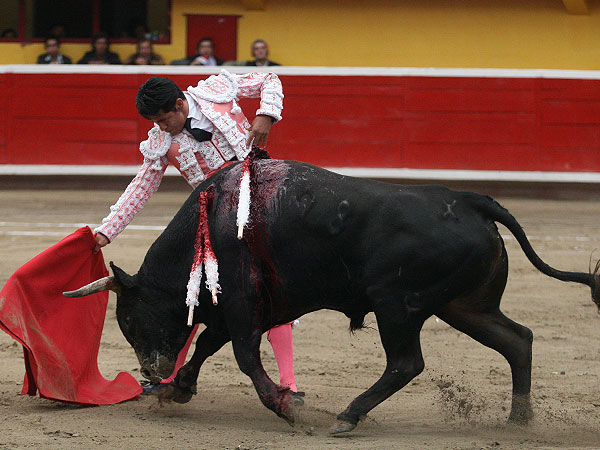 Lo meti� a la muleta