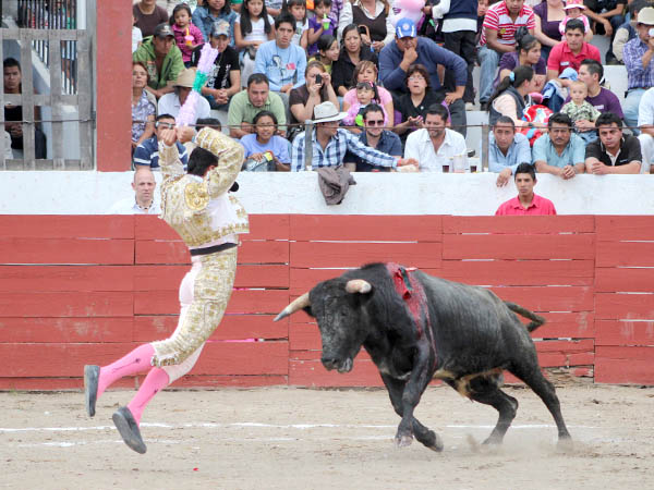 Las banderillas de David Aguilar