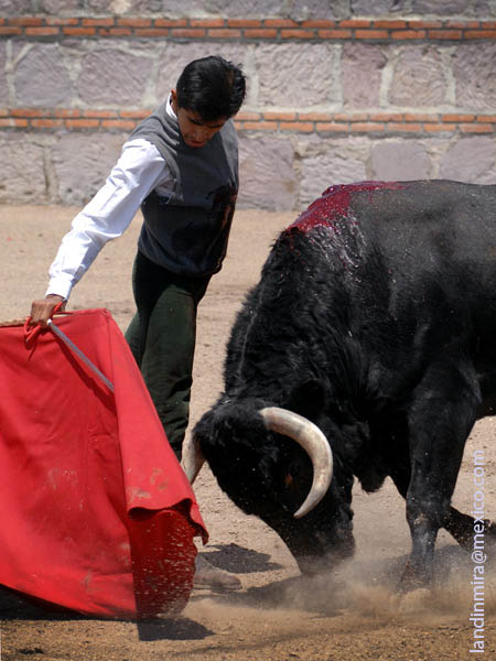 Derecha de terciopelo