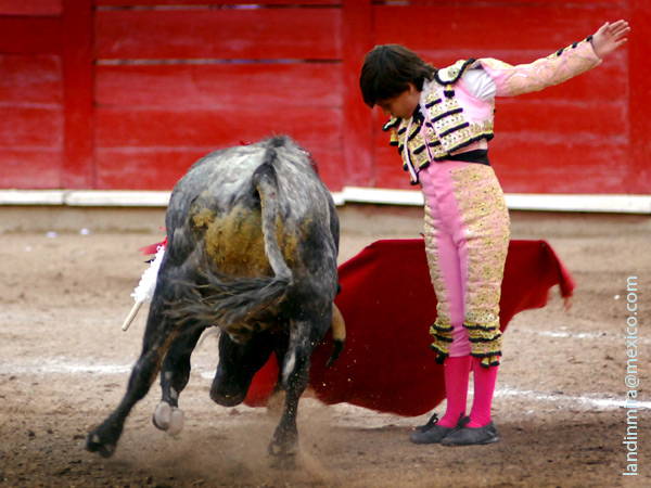 Michelito agrad� a la afici�n