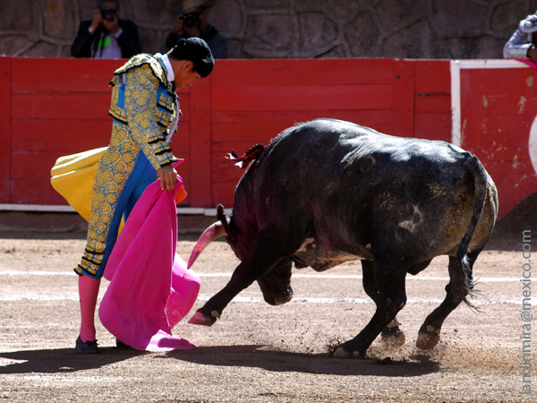 Zapata abre el festejo