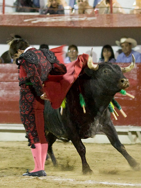 Espectacular manoletina