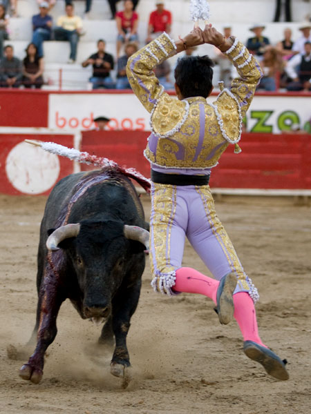 Elev�ndose ante el toro