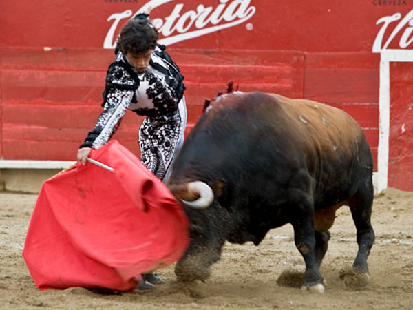 Embebido en la muleta