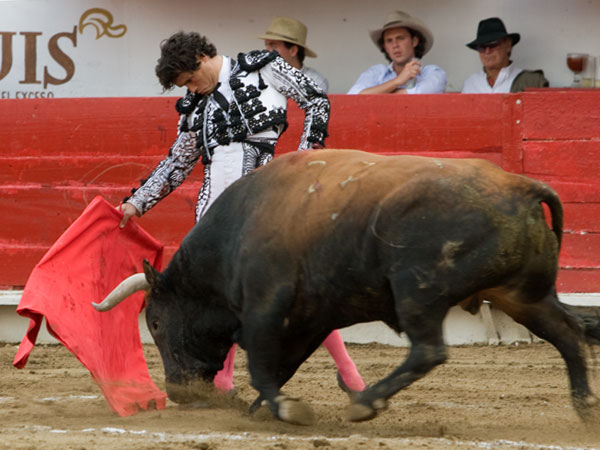 El comienzo de la faena