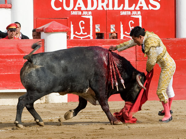 �Y le negaron la oreja!