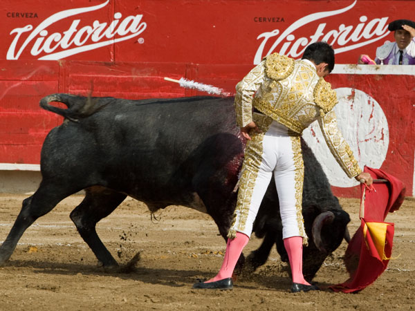 Cadencia y asentamiento