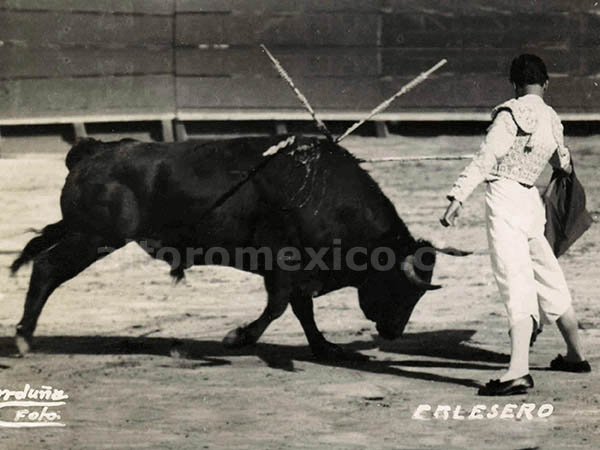 Calzona de monosabio