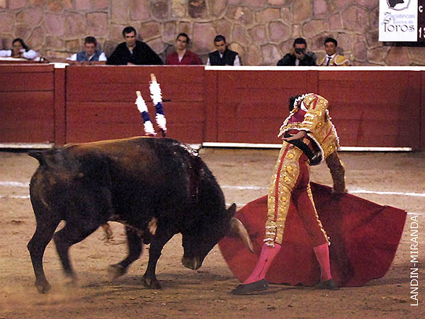 Ense�� detalles de mucha torer�a