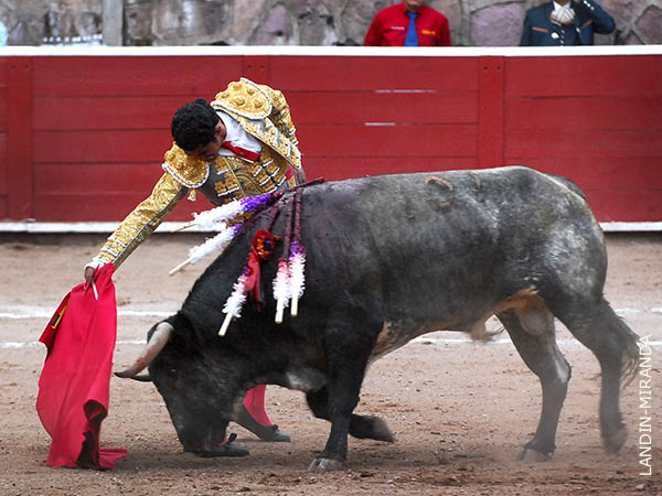 Faena de detalles significativos