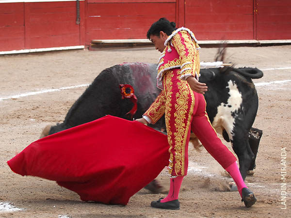 Intercal� diversos adornos