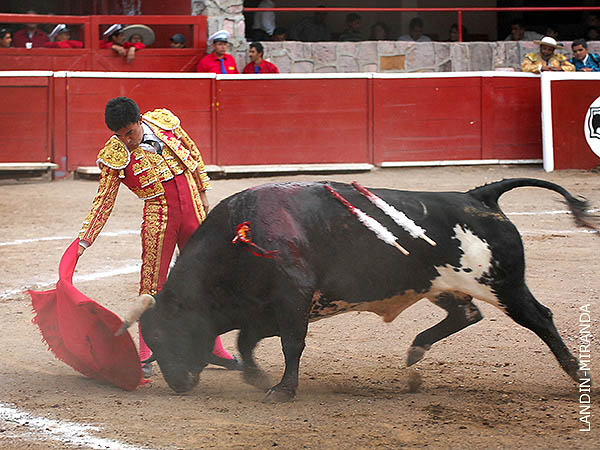 Le busc� las virudes al toro