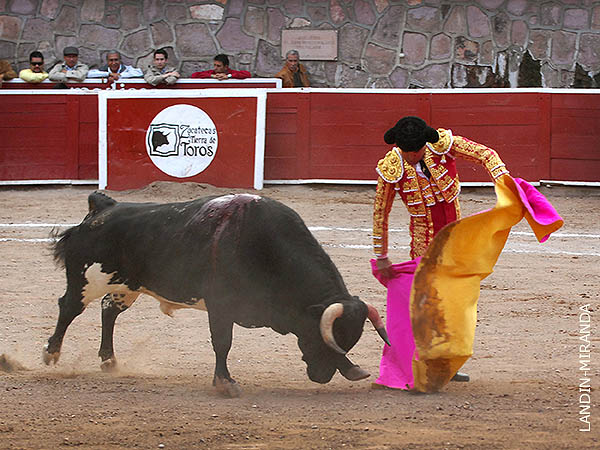 Navarras tlaxcaltecas