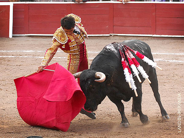 Perfecta colocaci�n entre los pases