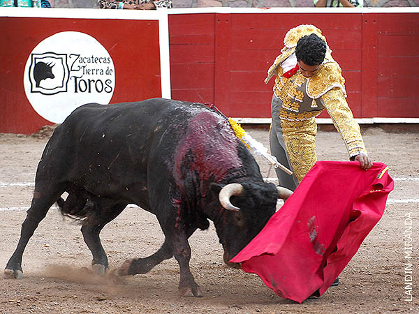 Muletazos tersos y largos