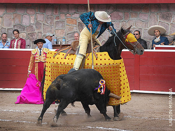 Estrenando un nuevo peto