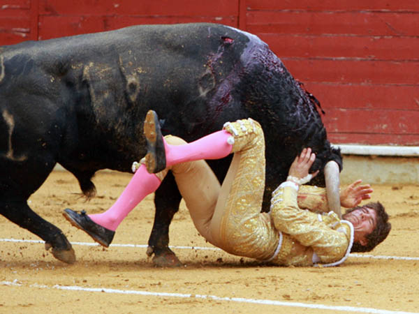 A merced del ejemplar