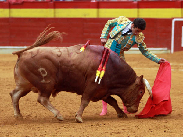 El temple mexicano de Juan Pablo