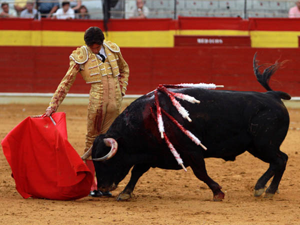 Reposo en los muletazos