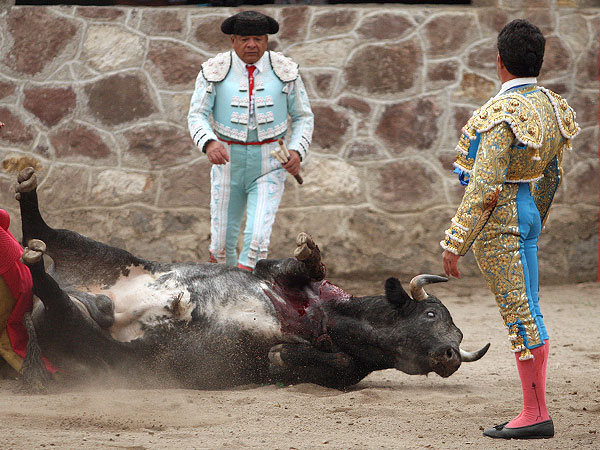 El �ltimo toro de su vida