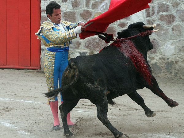 Evocando a Luis Procuna